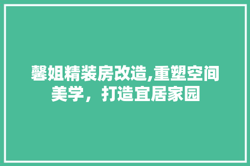 馨姐精装房改造,重塑空间美学，打造宜居家园 厨房维修