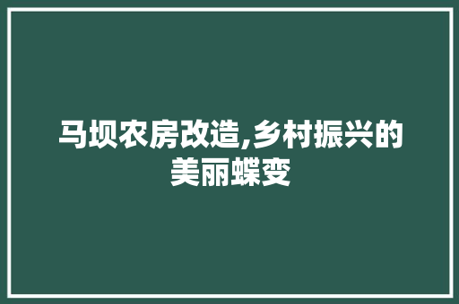马坝农房改造,乡村振兴的美丽蝶变 墙体维修