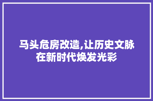 马头危房改造,让历史文脉在新时代焕发光彩 厨房维修