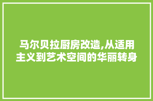 马尔贝拉厨房改造,从适用主义到艺术空间的华丽转身 家电维修