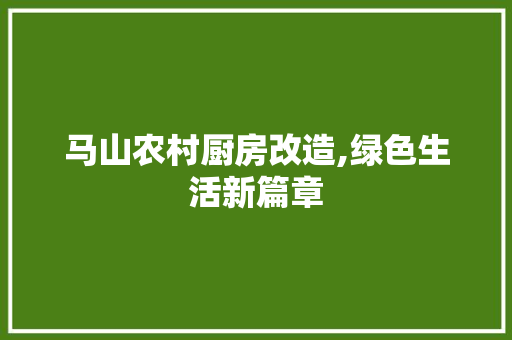 马山农村厨房改造,绿色生活新篇章 汽车维修