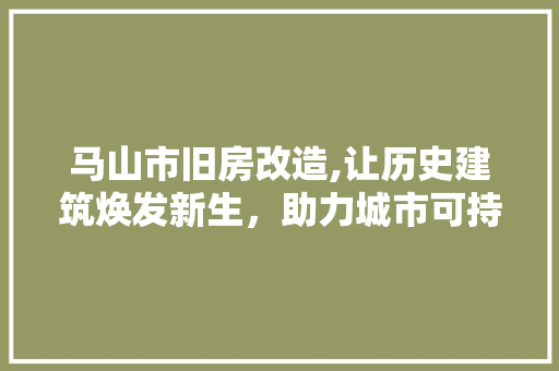 马山市旧房改造,让历史建筑焕发新生，助力城市可持续发展 厨房维修