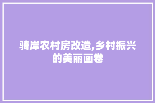 骑岸农村房改造,乡村振兴的美丽画卷 家电维修