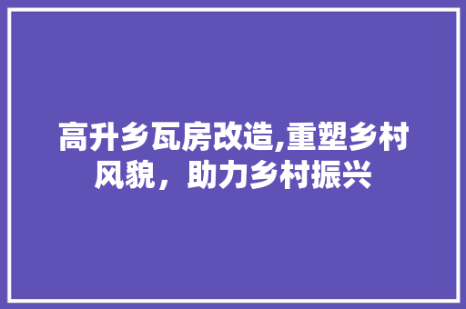 高升乡瓦房改造,重塑乡村风貌，助力乡村振兴 墙体维修