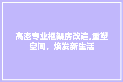 高密专业框架房改造,重塑空间，焕发新生活 汽车维修