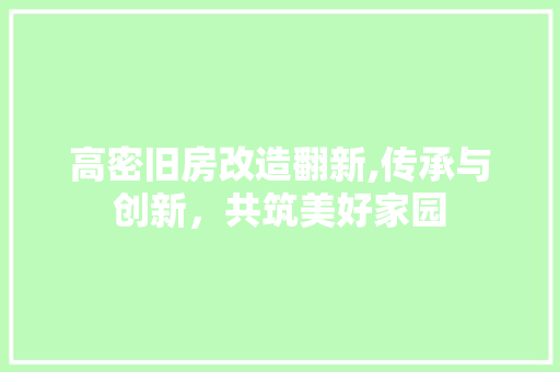 高密旧房改造翻新,传承与创新，共筑美好家园 墙体维修