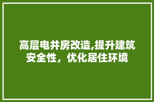高层电井房改造,提升建筑安全性，优化居住环境 厨房维修