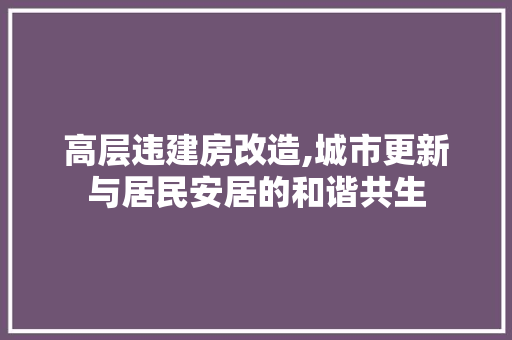 高层违建房改造,城市更新与居民安居的和谐共生 墙体维修