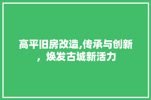 高平旧房改造,传承与创新，焕发古城新活力 综合便民