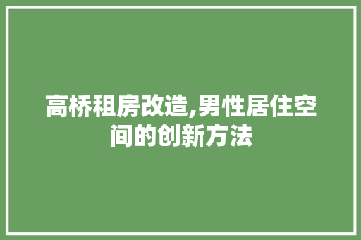高桥租房改造,男性居住空间的创新方法 厨房维修