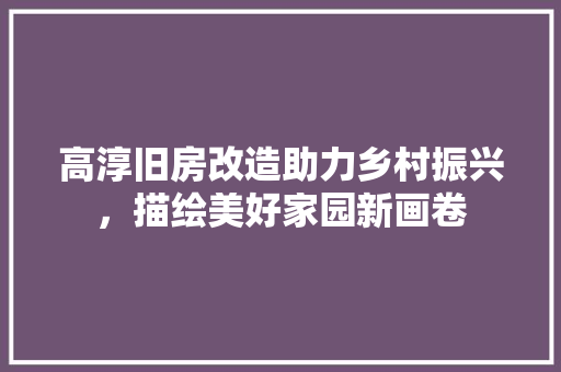 高淳旧房改造助力乡村振兴，描绘美好家园新画卷 综合便民