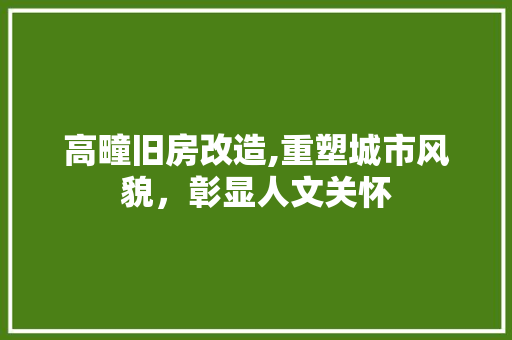 高疃旧房改造,重塑城市风貌，彰显人文关怀 墙体维修