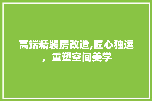 高端精装房改造,匠心独运，重塑空间美学 家电维修
