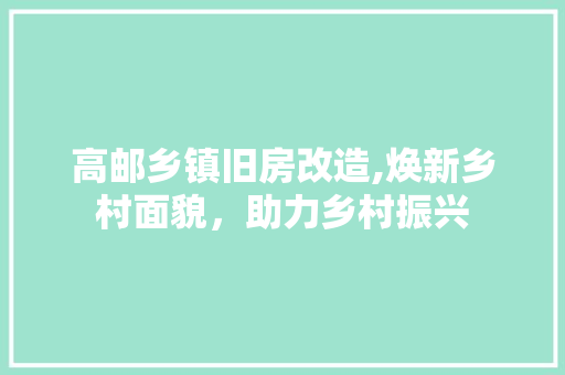 高邮乡镇旧房改造,焕新乡村面貌，助力乡村振兴 墙体维修
