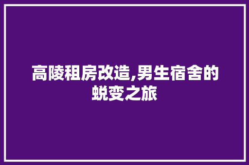 高陵租房改造,男生宿舍的蜕变之旅