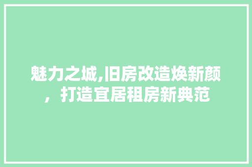 魅力之城,旧房改造焕新颜，打造宜居租房新典范 综合便民