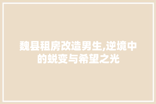 魏县租房改造男生,逆境中的蜕变与希望之光 厨房维修