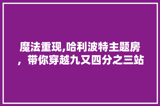 魔法重现,哈利波特主题房，带你穿越九又四分之三站台 厨房维修