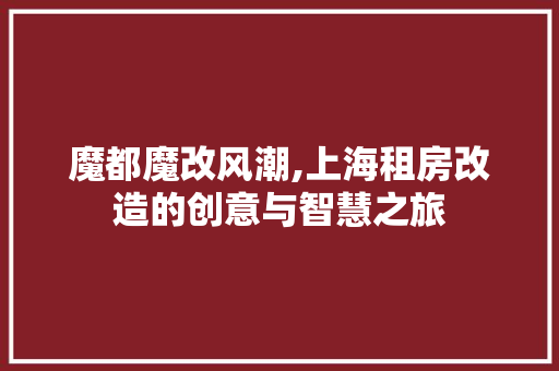 魔都魔改风潮,上海租房改造的创意与智慧之旅 综合便民