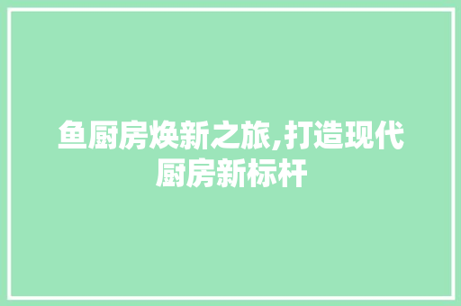 鱼厨房焕新之旅,打造现代厨房新标杆 综合便民