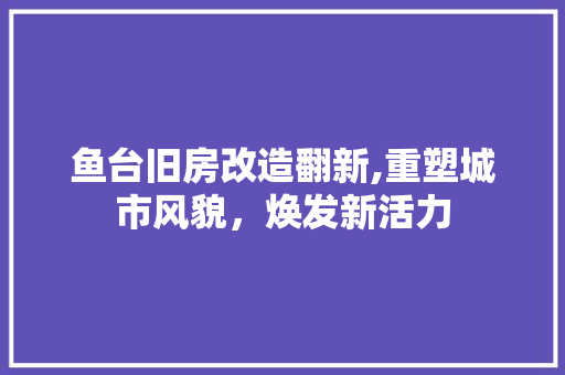 鱼台旧房改造翻新,重塑城市风貌，焕发新活力 汽车维修