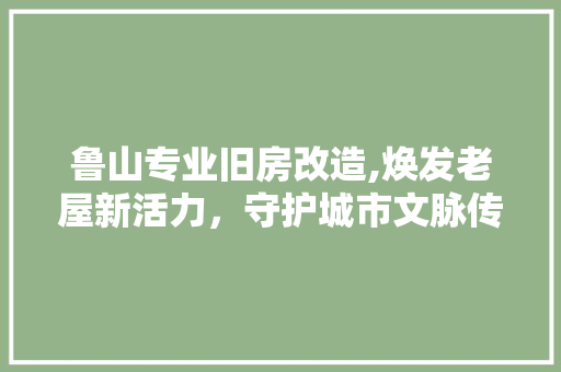 鲁山专业旧房改造,焕发老屋新活力，守护城市文脉传承 汽车维修