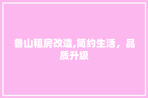鲁山租房改造,简约生活，品质升级 综合便民