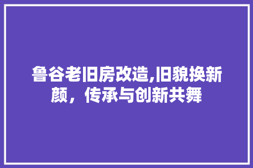 鲁谷老旧房改造,旧貌换新颜，传承与创新共舞 综合便民
