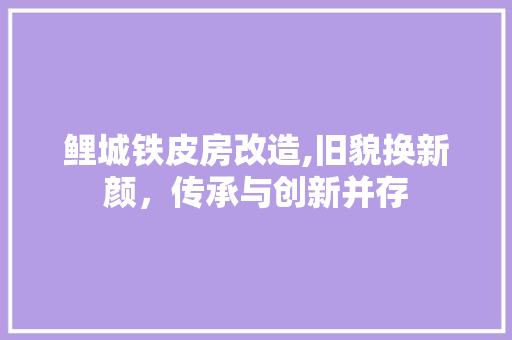 鲤城铁皮房改造,旧貌换新颜，传承与创新并存 汽车维修