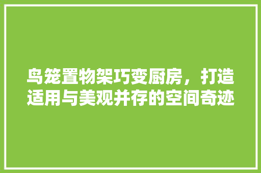 鸟笼置物架巧变厨房，打造适用与美观并存的空间奇迹