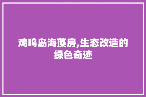 鸡鸣岛海藻房,生态改造的绿色奇迹 厨房维修