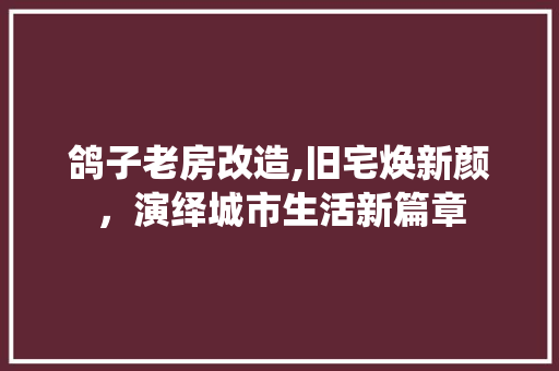 鸽子老房改造,旧宅焕新颜，演绎城市生活新篇章 综合便民