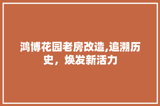 鸿博花园老房改造,追溯历史，焕发新活力 厨房维修