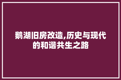 鹅湖旧房改造,历史与现代的和谐共生之路 厨房维修