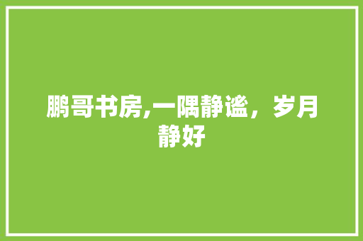 鹏哥书房,一隅静谧，岁月静好 厨房维修