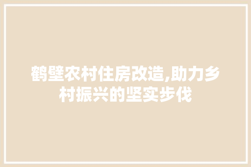 鹤壁农村住房改造,助力乡村振兴的坚实步伐 墙体维修