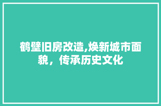 鹤壁旧房改造,焕新城市面貌，传承历史文化 综合便民