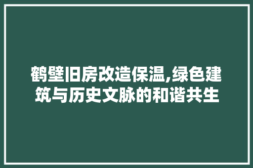 鹤壁旧房改造保温,绿色建筑与历史文脉的和谐共生 家电维修