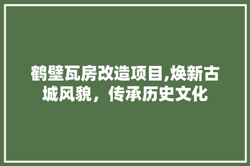 鹤壁瓦房改造项目,焕新古城风貌，传承历史文化 汽车维修