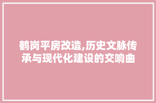 鹤岗平房改造,历史文脉传承与现代化建设的交响曲 汽车维修