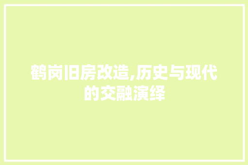鹤岗旧房改造,历史与现代的交融演绎 厨房维修