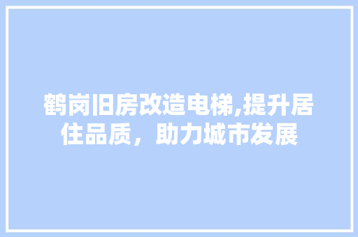 鹤岗旧房改造电梯,提升居住品质，助力城市发展