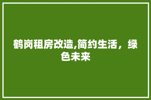 鹤岗租房改造,简约生活，绿色未来