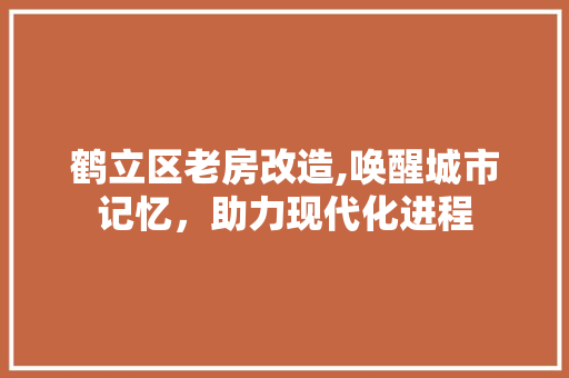 鹤立区老房改造,唤醒城市记忆，助力现代化进程