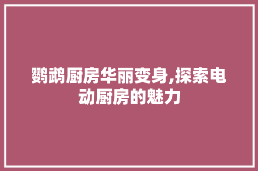 鹦鹉厨房华丽变身,探索电动厨房的魅力