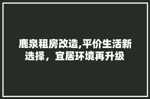 鹿泉租房改造,平价生活新选择，宜居环境再升级 厨房维修