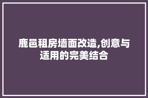 鹿邑租房墙面改造,创意与适用的完美结合 家电维修