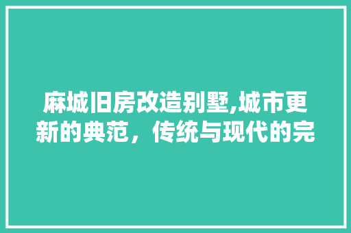 麻城旧房改造别墅,城市更新的典范，传统与现代的完美融合 厨房维修