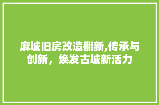 麻城旧房改造翻新,传承与创新，焕发古城新活力 汽车维修