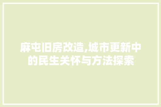 麻屯旧房改造,城市更新中的民生关怀与方法探索 墙体维修